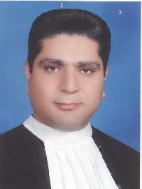 قاسم گل زرد