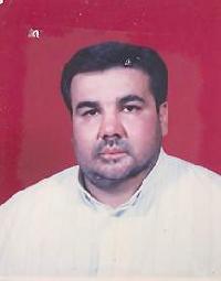 محمدرضا الهی