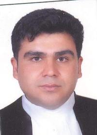 امیررضا جمالی