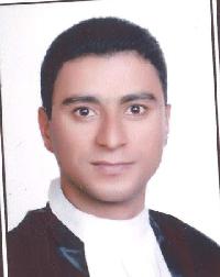 مهدی نگارنده