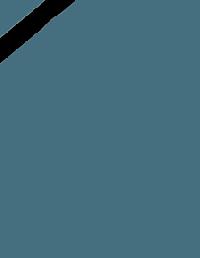 فرح دخت جهانگیر پور