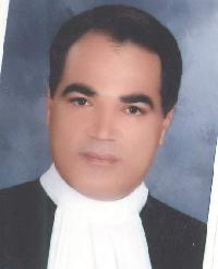 محمدرضا علیرضائی