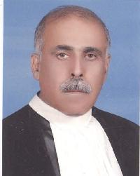 سید حسن علوی